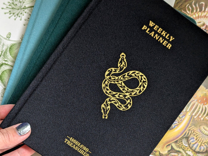 The Story Behind My Planner: A Universe Waiting to Be Discovered